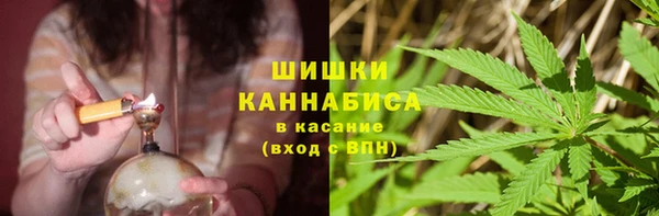 ГАЛЛЮЦИНОГЕННЫЕ ГРИБЫ Алексин