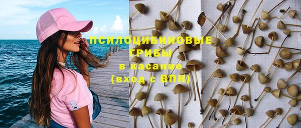 прущие грибы Михайловск