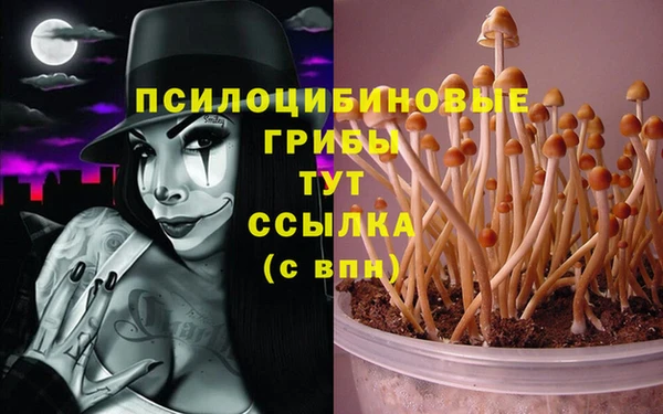 синтетический гашиш Алзамай