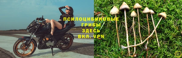 марихуана Абаза