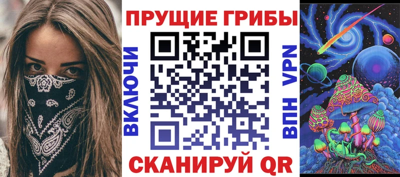 OMG зеркало  цена наркотик  Николаевск-на-Амуре  Псилоцибиновые грибы мицелий 